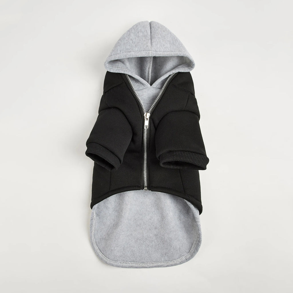 ClassicLayer Pet Hoodie