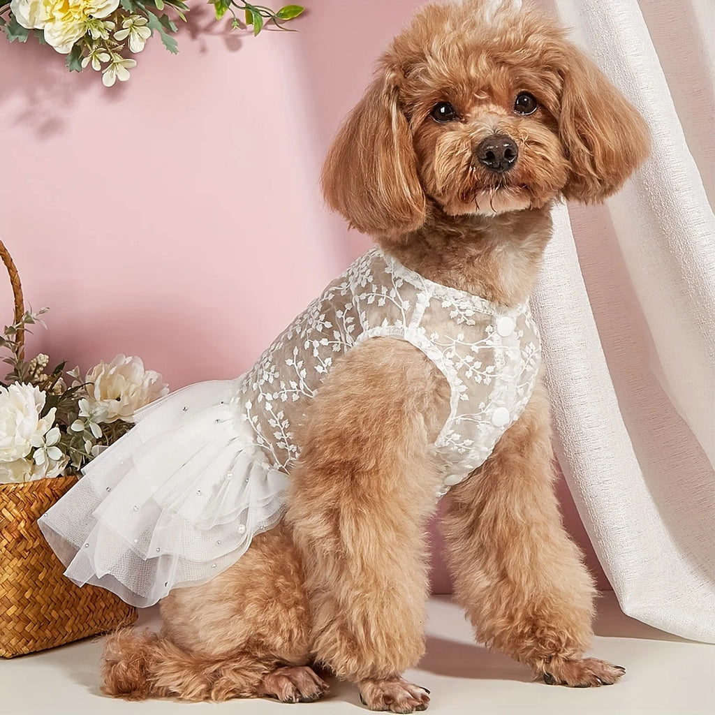 Pet Wedding Tulle Dress (Spring/Summer) 👰🐾✨