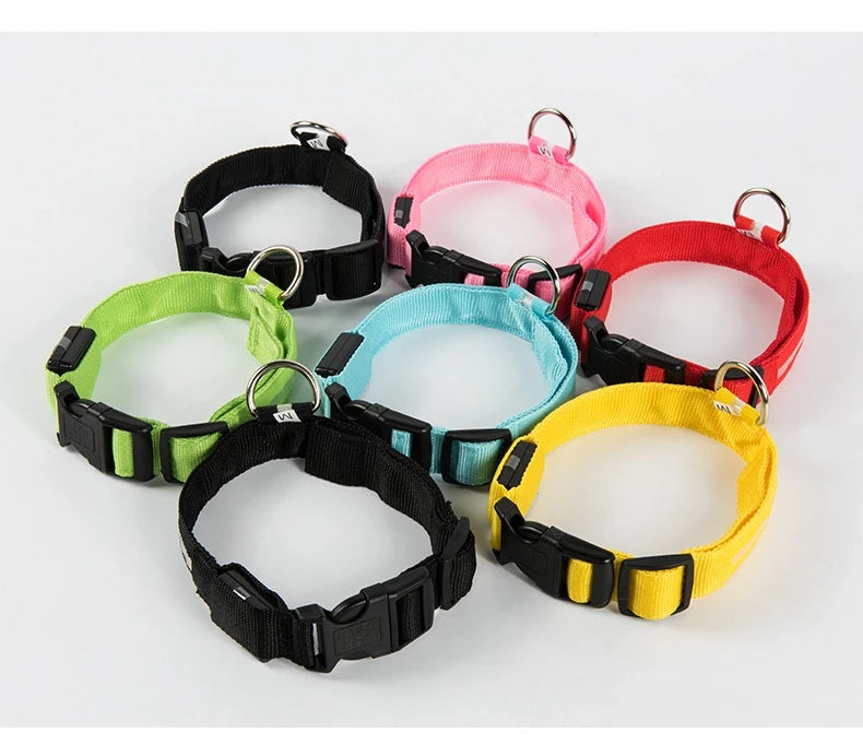 Necklace for Paws: Night Glow Collar