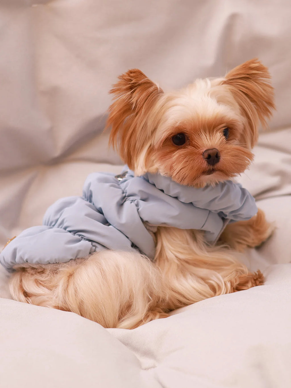 Winter Dog Jacket Warm Coat