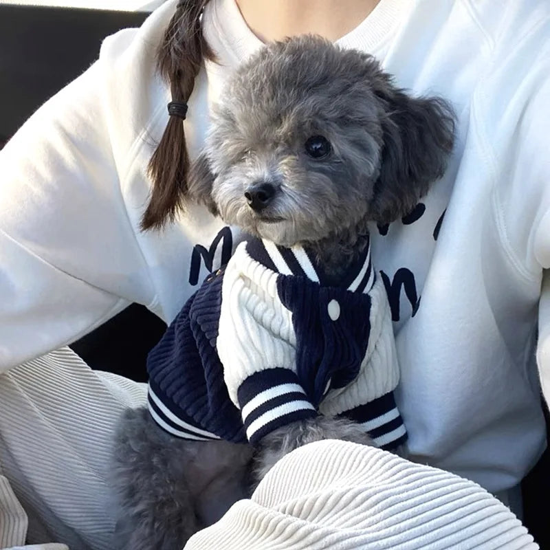 VarsityPaws Pet Baseball Jacket