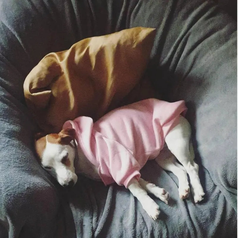 UrbanWarm Pet Hoodie Jacket