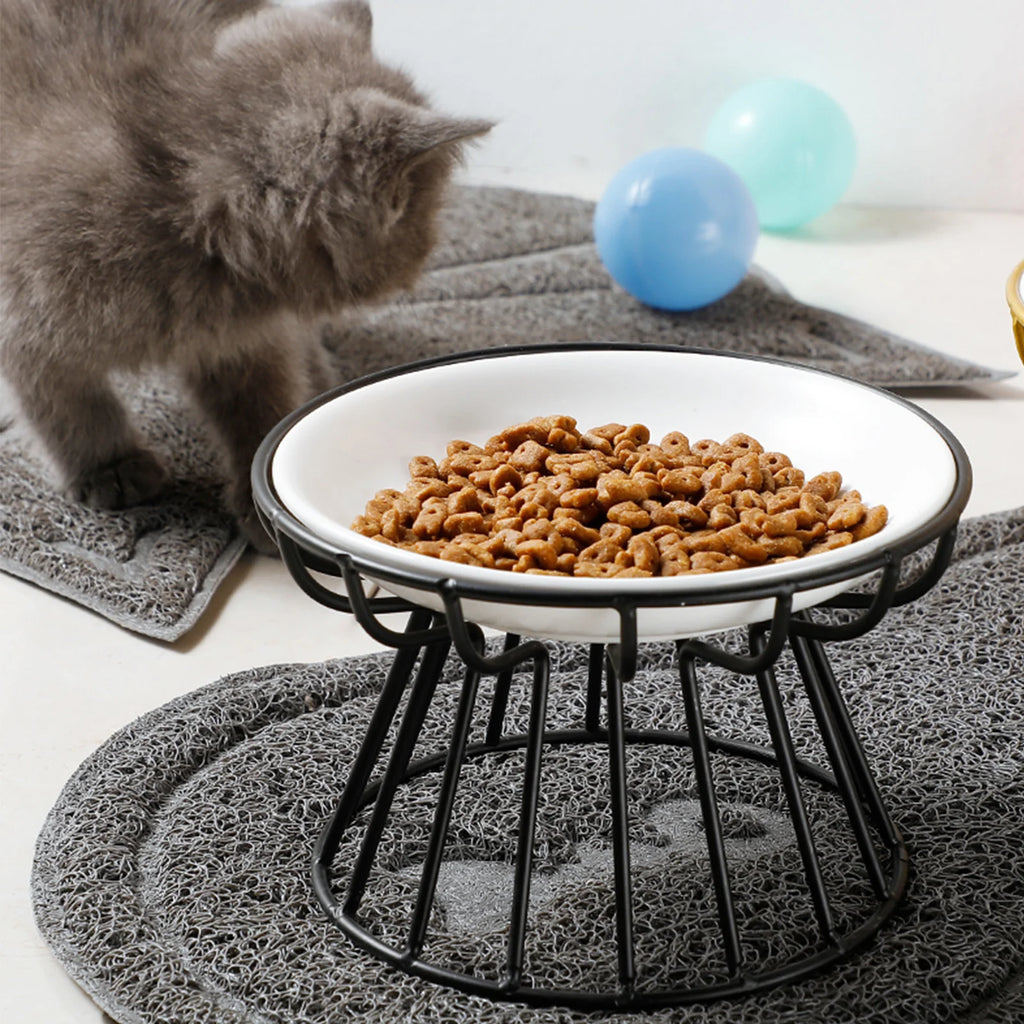Wide Ceramic Whisker-Friendly Cat Bowl with Iron Stand