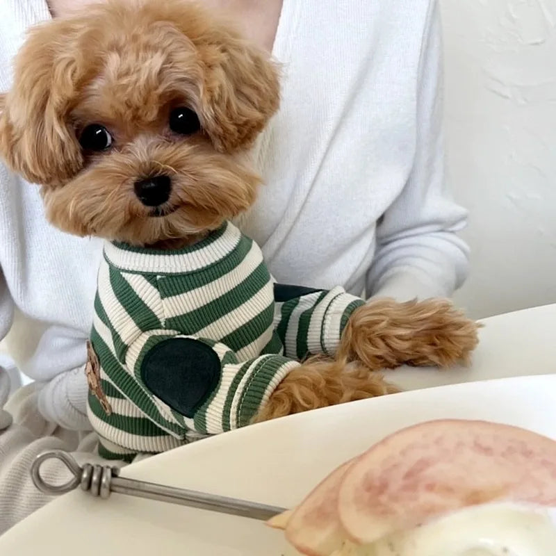 Teddy Stripe Tee (Breathable Summer Pullover for Small Dogs & Cats) 🐻🖤🤍