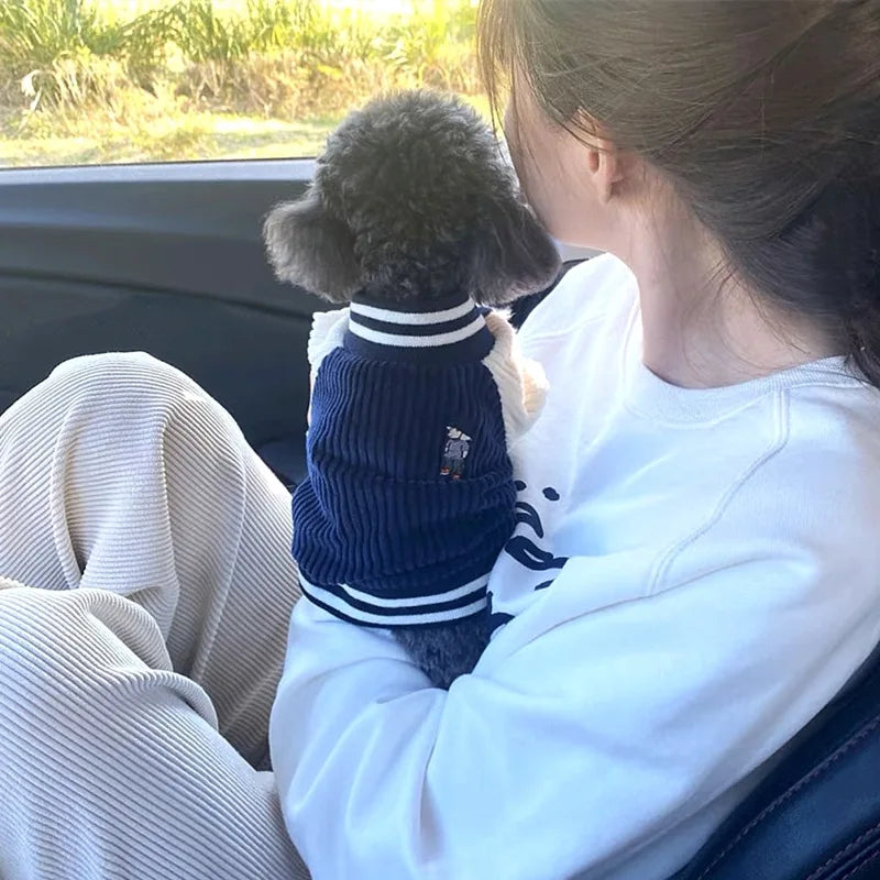 VarsityPaws Pet Baseball Jacket