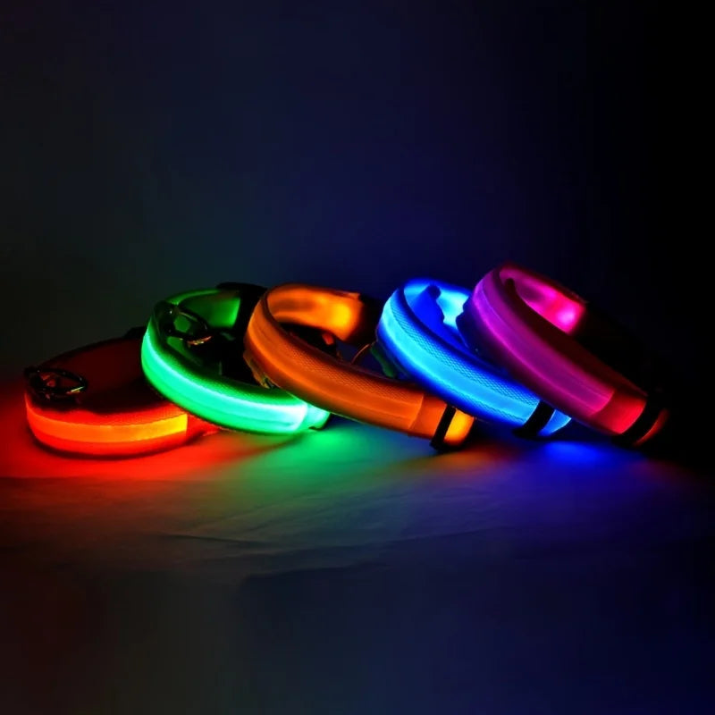 Necklace for Paws: Night Glow Collar