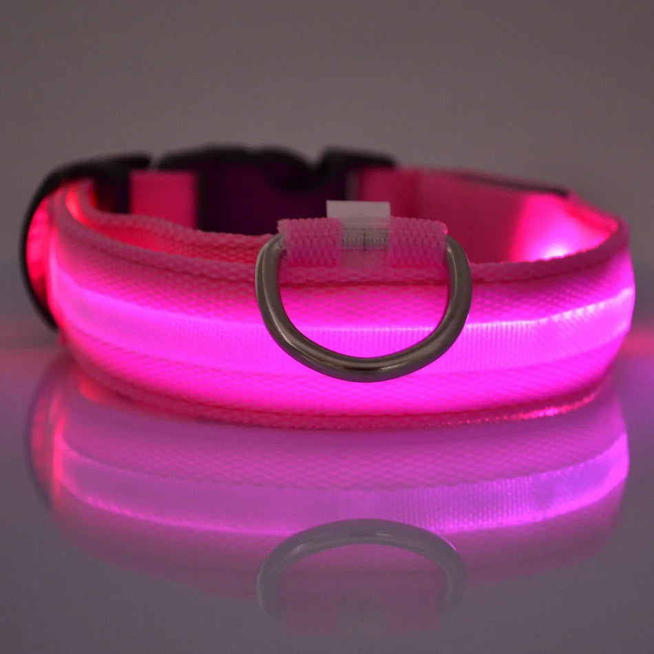 Necklace for Paws: Night Glow Collar
