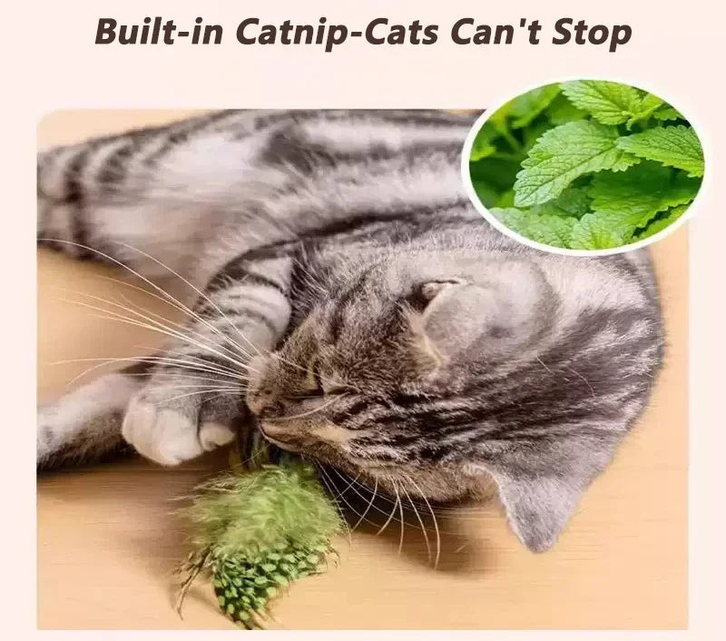 Chirpy Bird Interactive Cat Toy (Touch-Activated)