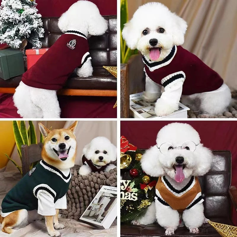 🐶Cozy V-Neck Knit Sweater