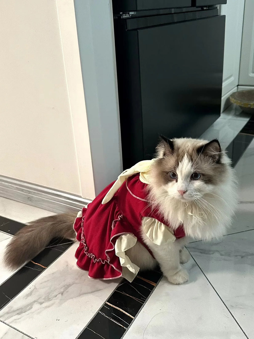 Lolita Bow Princess Dress for Cats & Small Dogs 🎀👑 (100% Cotton)