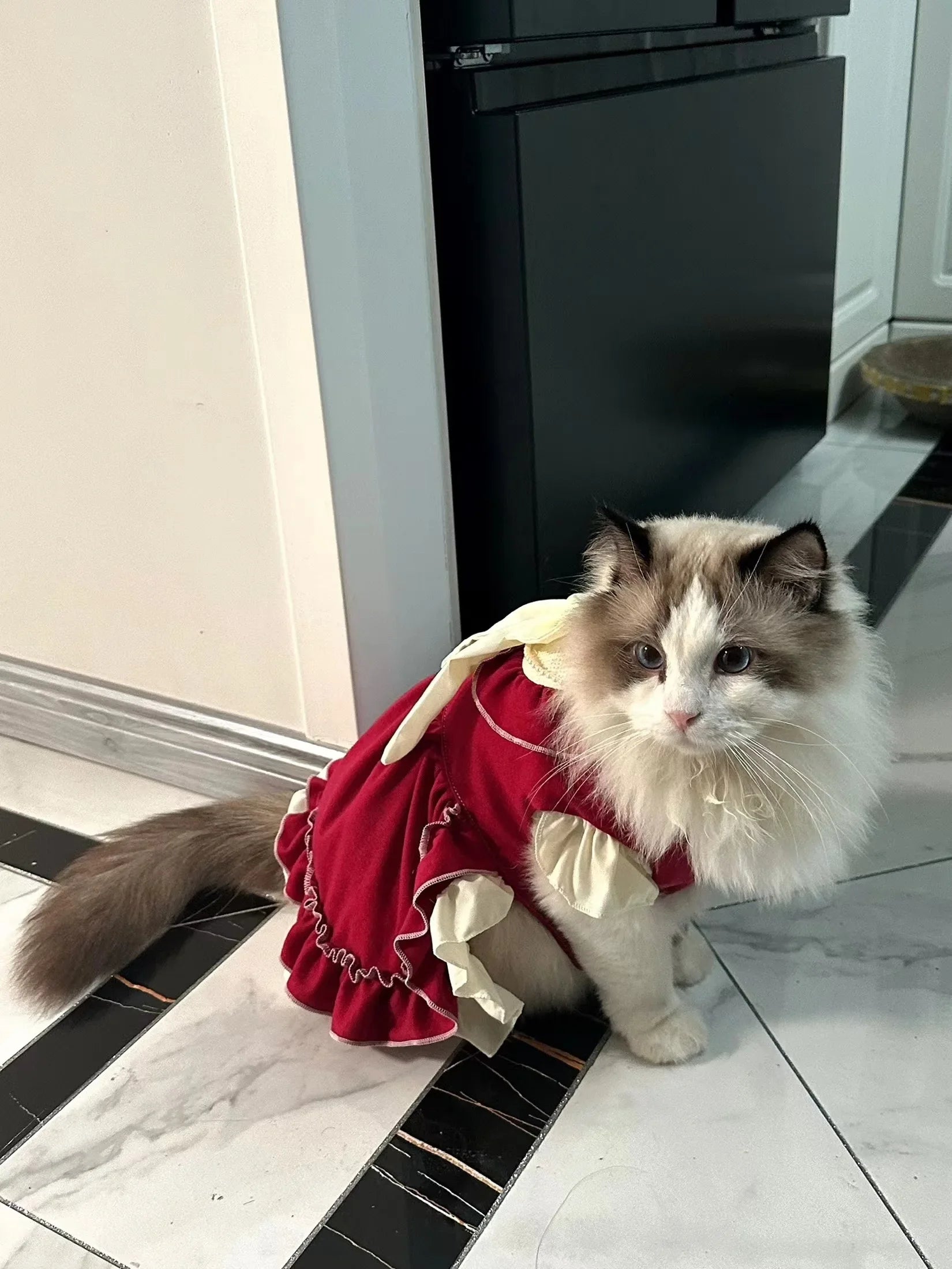 Lolita Bow Princess Dress for Cats & Small Dogs 🎀👑 (100% Cotton)