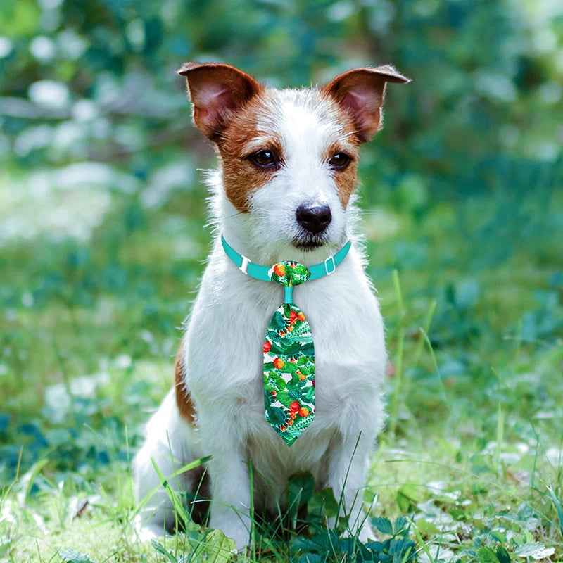 Colorful Pet Neckties Pack (10pcs)