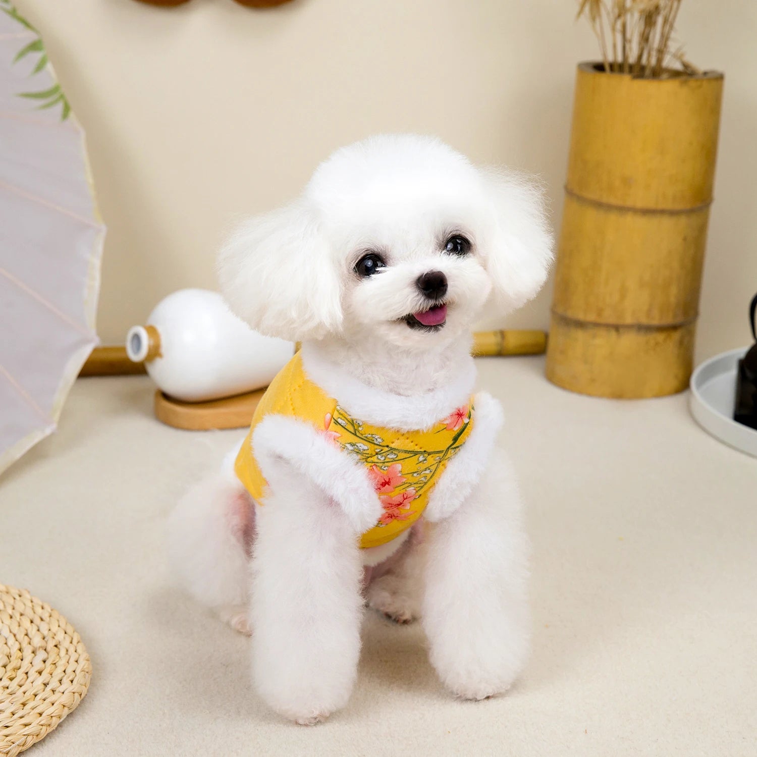 Chinese New Year Tang Suit Warm Dog Vest Jacket 🧧🐶✨