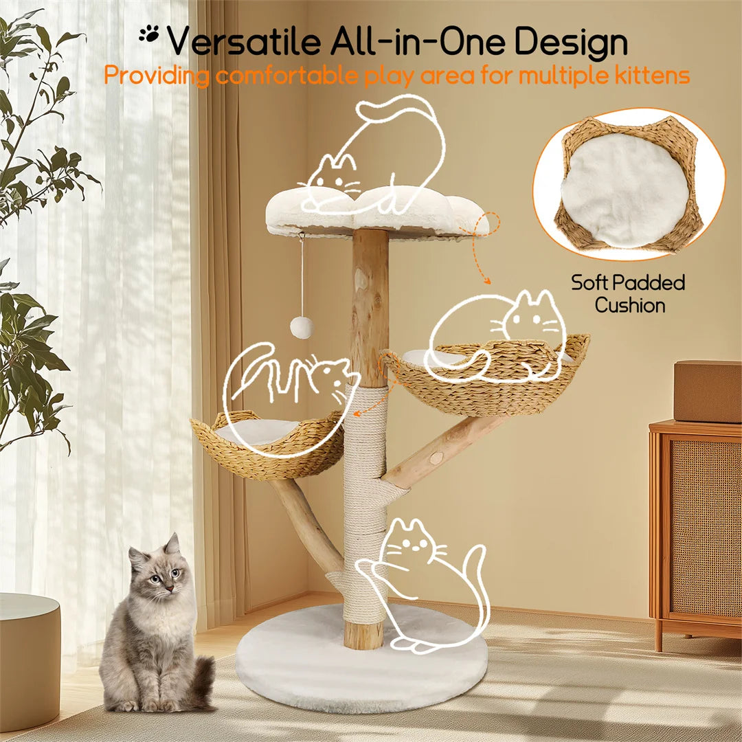 Modern Solid Wood Activity Tower for Indoor Cats