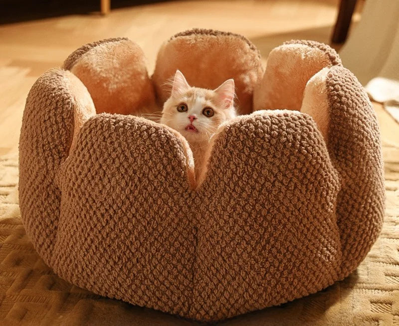 Cactus Flower Cat Bed (Plush Pet Nest for Cozy Naps) 🌵🌸🐱