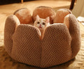 Cactus Flower Cat Bed (Plush Pet Nest for Cozy Naps) 🌵🌸🐱