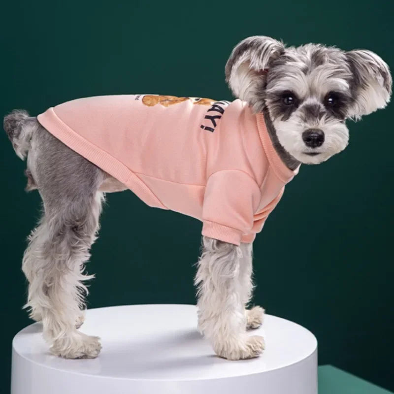 CozyBear Pet Pullover