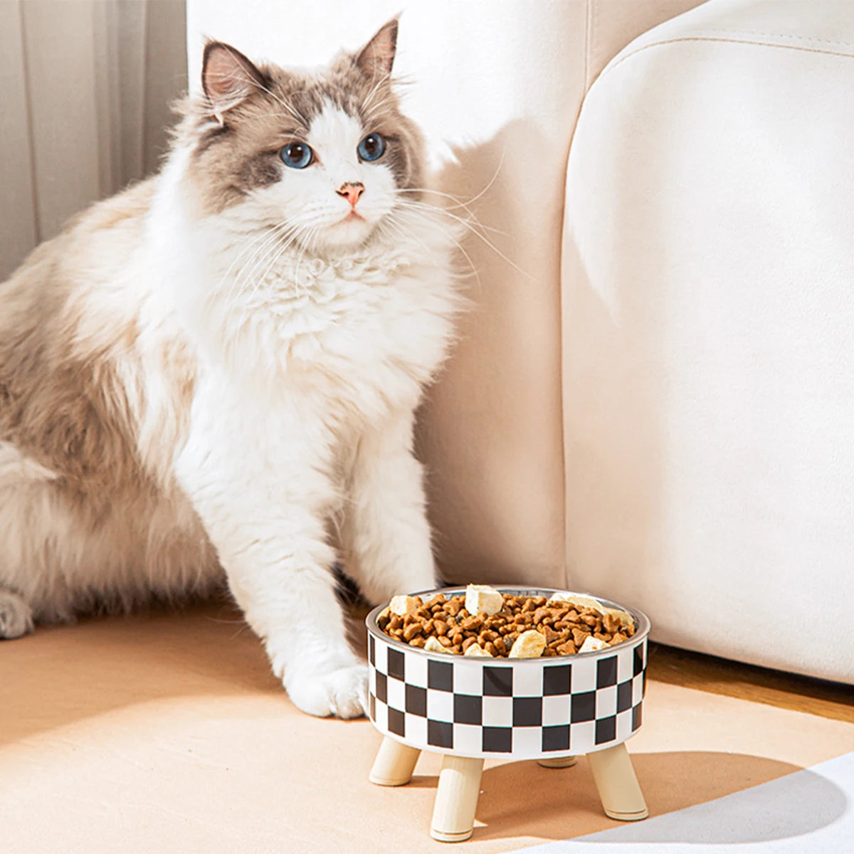 Elevated Stainless Steel Pet Bowl with Decorative Stand