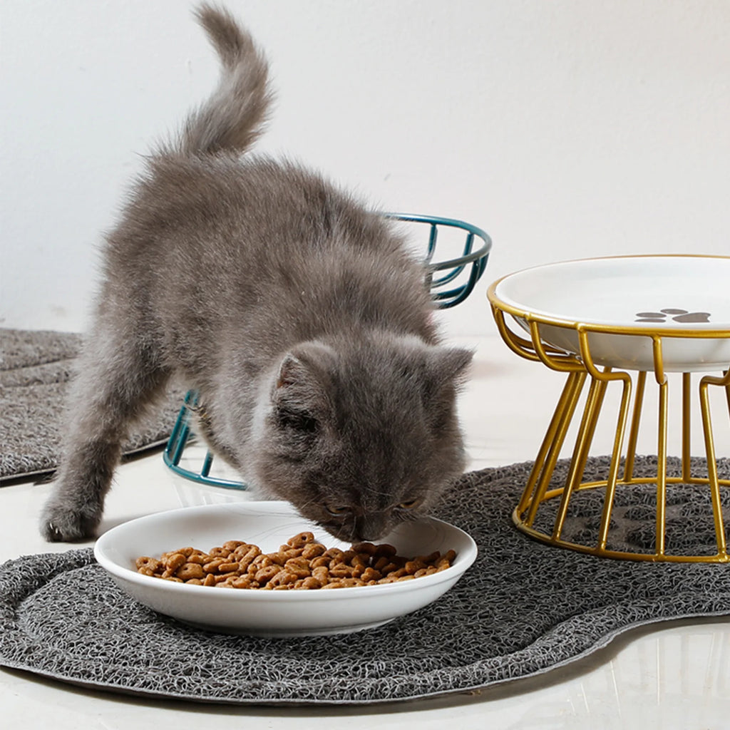 Wide Ceramic Whisker-Friendly Cat Bowl with Iron Stand