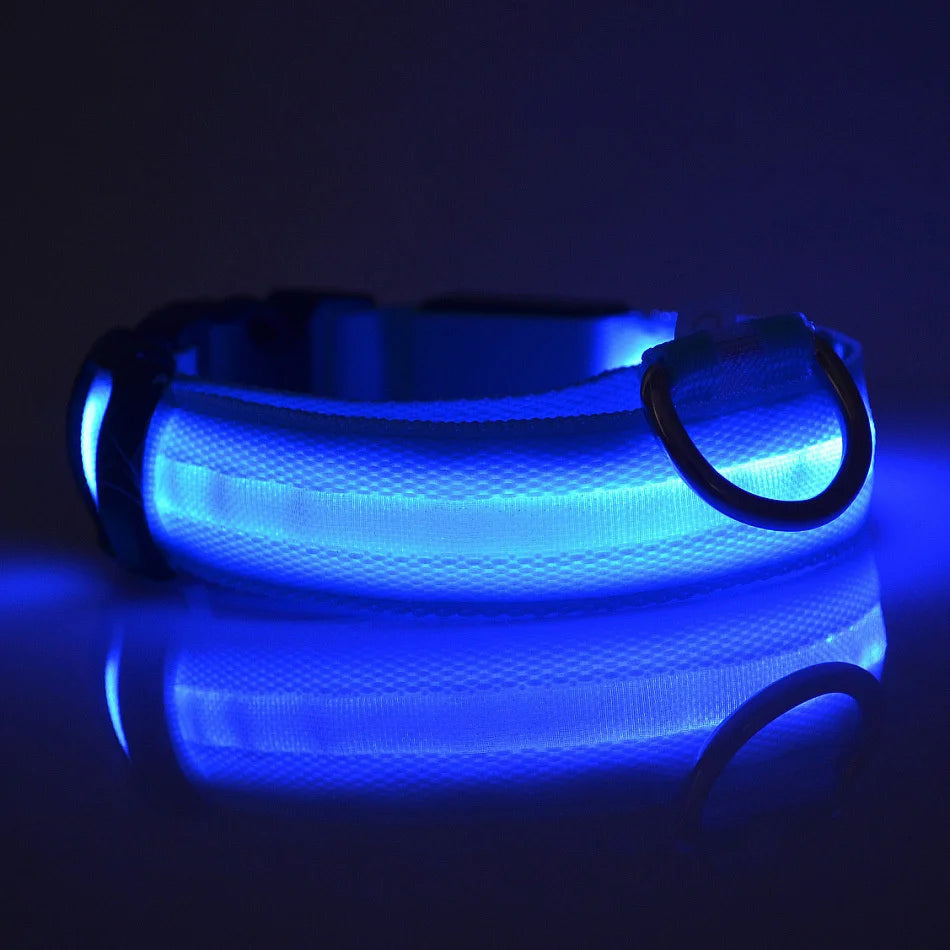 Necklace for Paws: Night Glow Collar