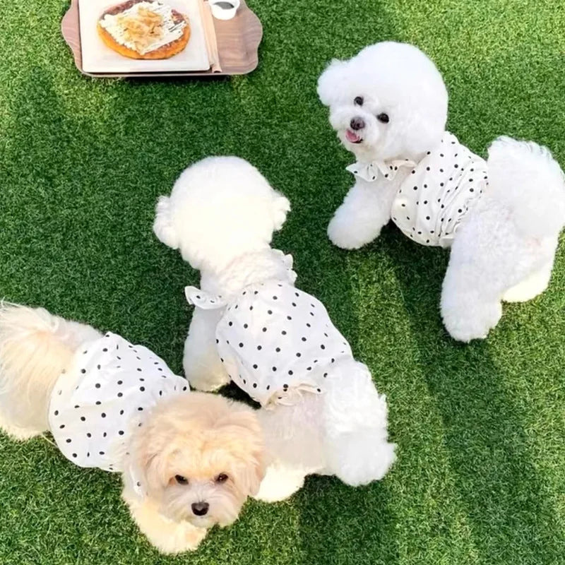 Polka Dot Summer Pet Dress with Bear Bag 🐻🖤
