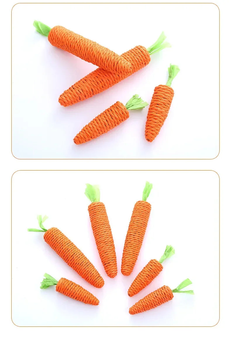 🥕Squeaky Carrot Cat Toy