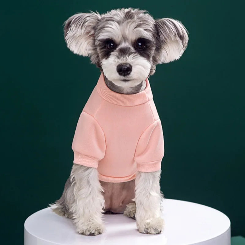 CozyBear Pet Pullover