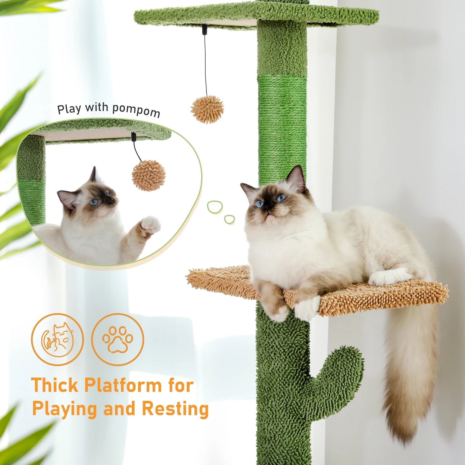 Floor-to-Ceiling Vertical Playground for Curious Cats