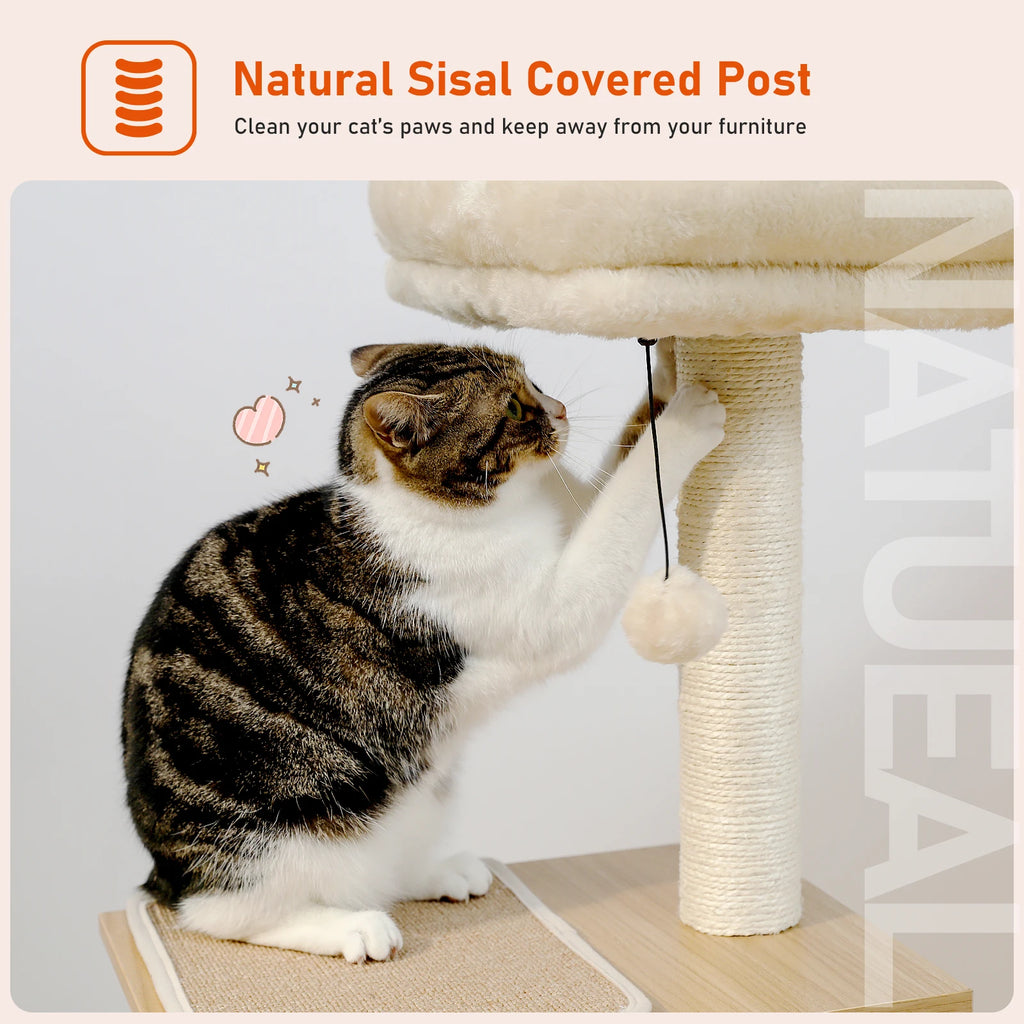 Modern Wooden Cat Tree with Condo, Hammock & Scratching Posts for Indoor Cats