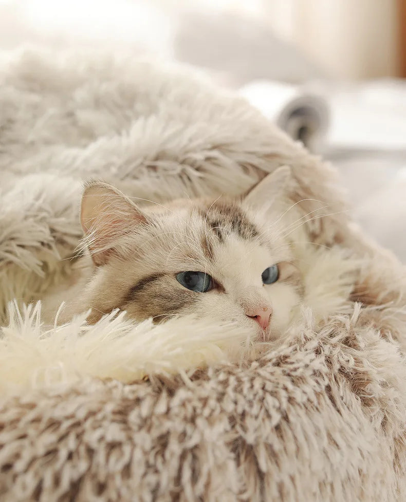 Plush Shell Haven Pet Bed