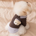 Bear Chic Puppy Hoodie – Cozy Autumn & Winter Pullover for Dogs & Cats