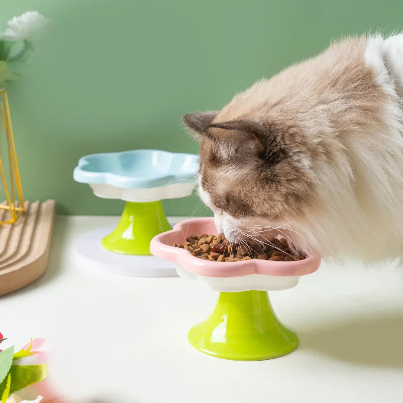 Ceramic Flower Raised Cat Bowl with Stand