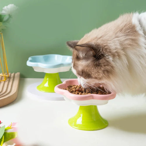 Ceramic Flower Raised Cat Bowl with Stand