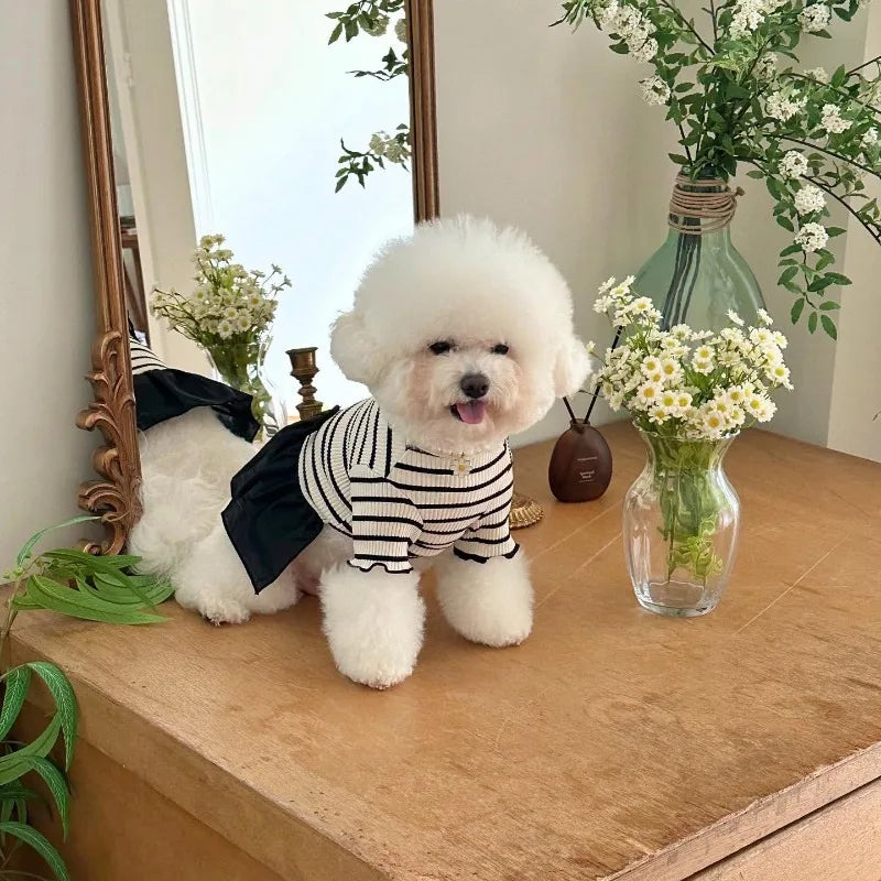 Stripe Bow Princess Pet Dress (Black & White Summer Outfit for Small Dogs) 🎀🖤🤍