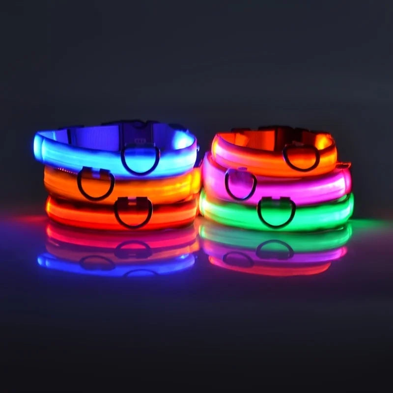 Necklace for Paws: Night Glow Collar