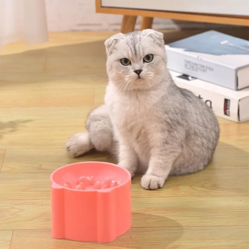 Elevated Slow-Feeding Cat Bowl (Anti-Choking & Neck-Friendly)