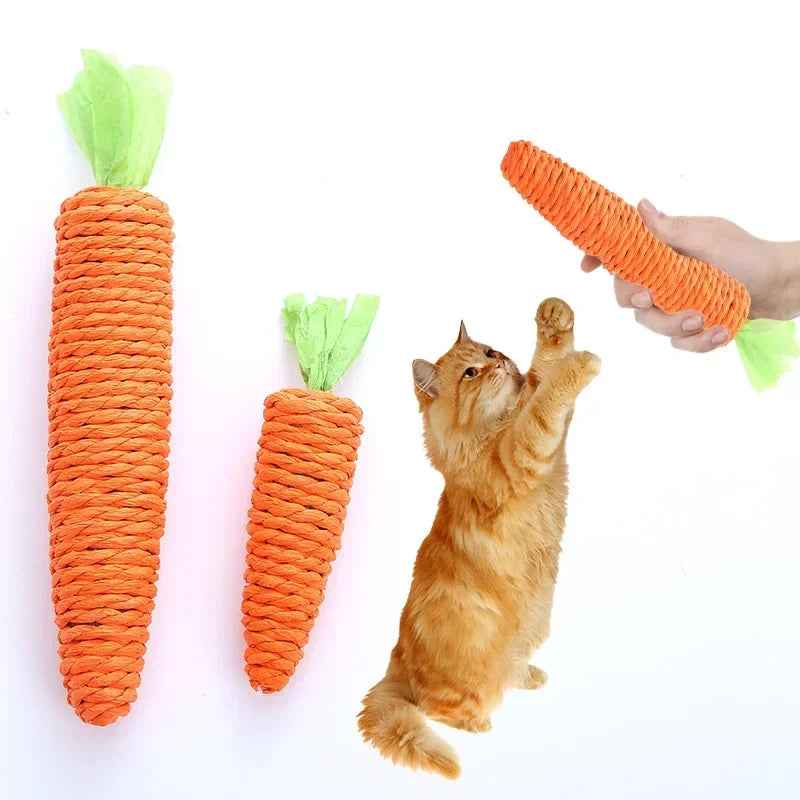 🥕Squeaky Carrot Cat Toy