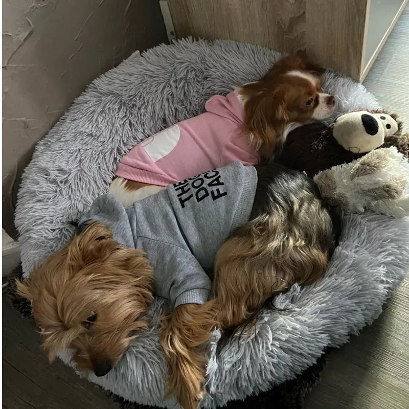 UrbanWarm Pet Hoodie Jacket