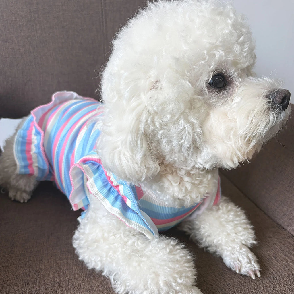 Rainbow Flower Summer Pet Dress Vest (Small Dogs & Cats) 🌈🌼