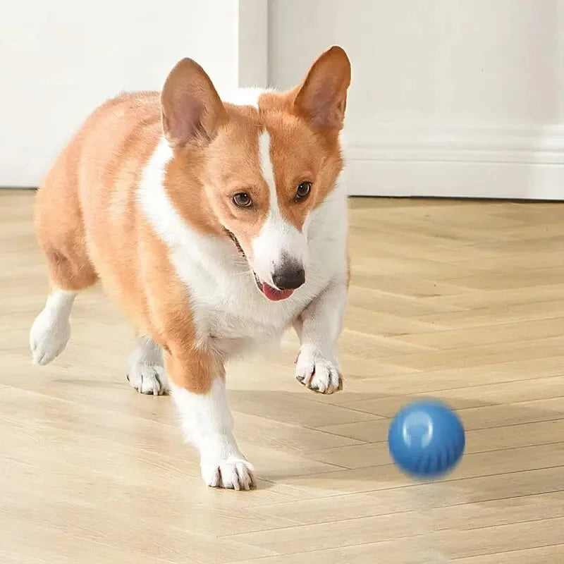 Smart Jump Ball Interactive Pet Toy (USB-C Rechargeable)