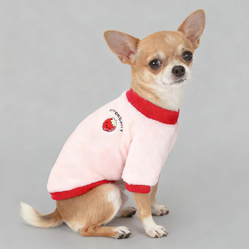 Cute Fruit Print Fleece Pet Jacket (Dog & Cat)