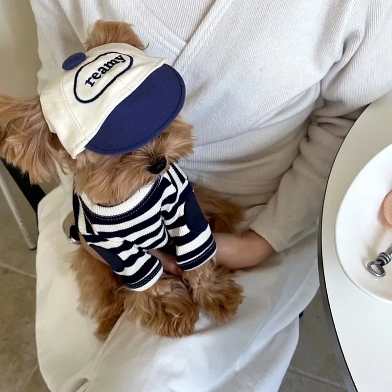 Teddy Stripe Tee (Breathable Summer Pullover for Small Dogs & Cats) 🐻🖤🤍