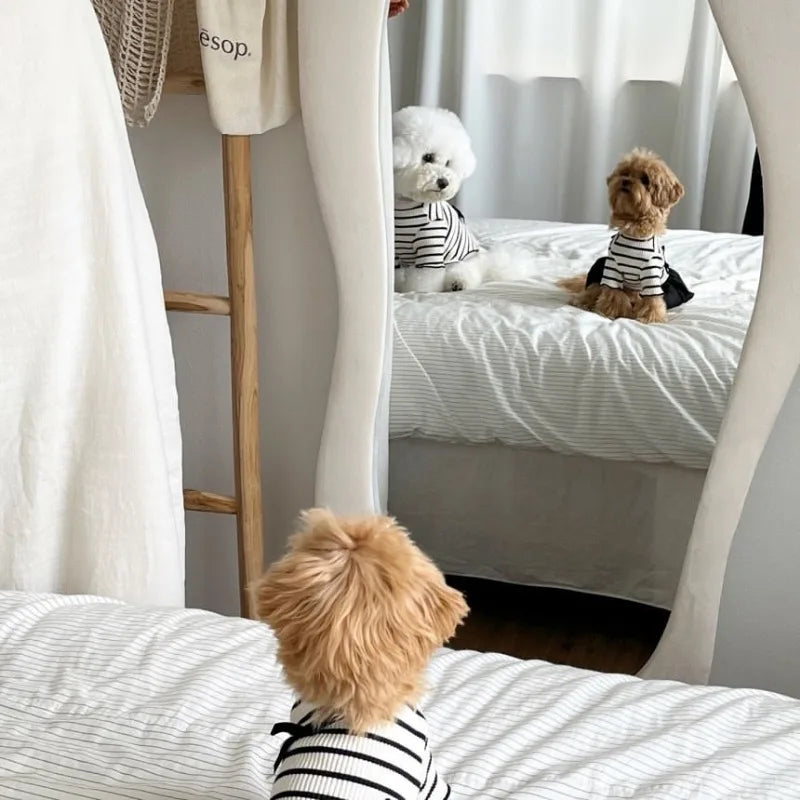 Stripe Bow Princess Pet Dress (Black & White Summer Outfit for Small Dogs) 🎀🖤🤍