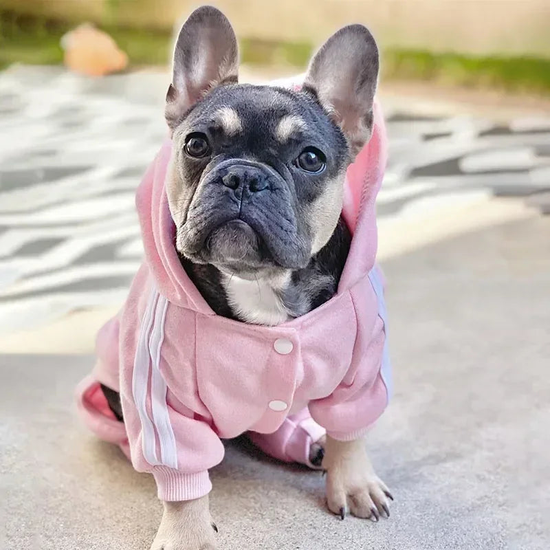Sport Hoodie Dog Jumpsuit (4-Leg) 🐶✨