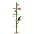 Floor-to-Ceiling Vertical Playground for Curious Cats