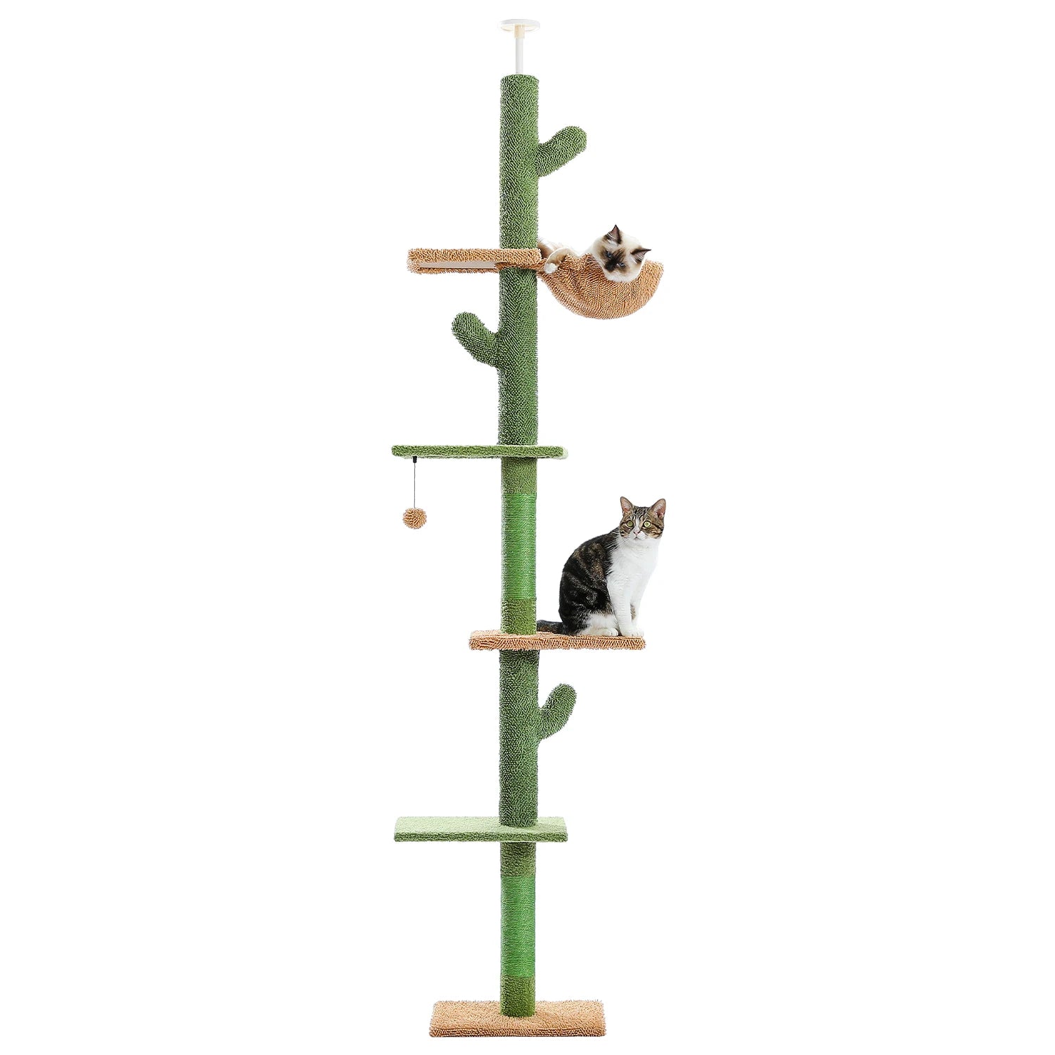 Floor-to-Ceiling Vertical Playground for Curious Cats