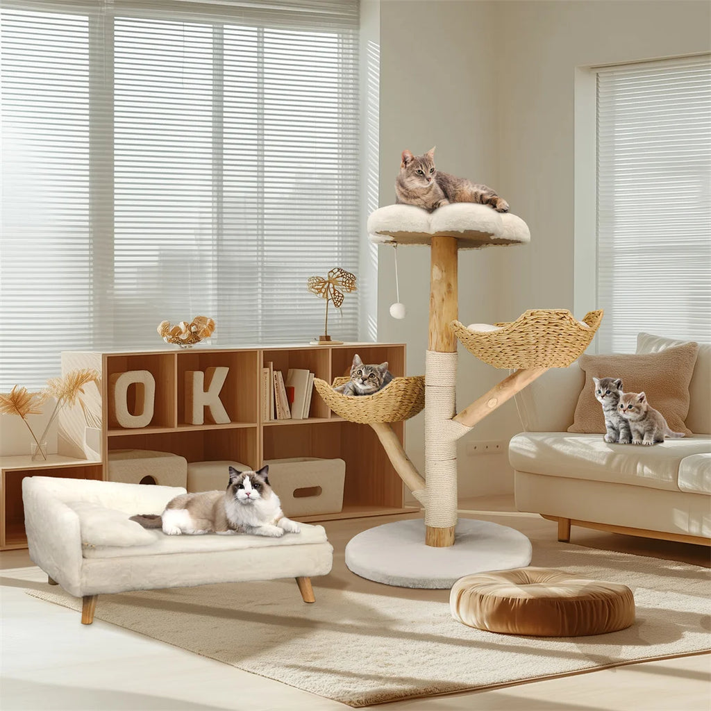 Modern Solid Wood Activity Tower for Indoor Cats