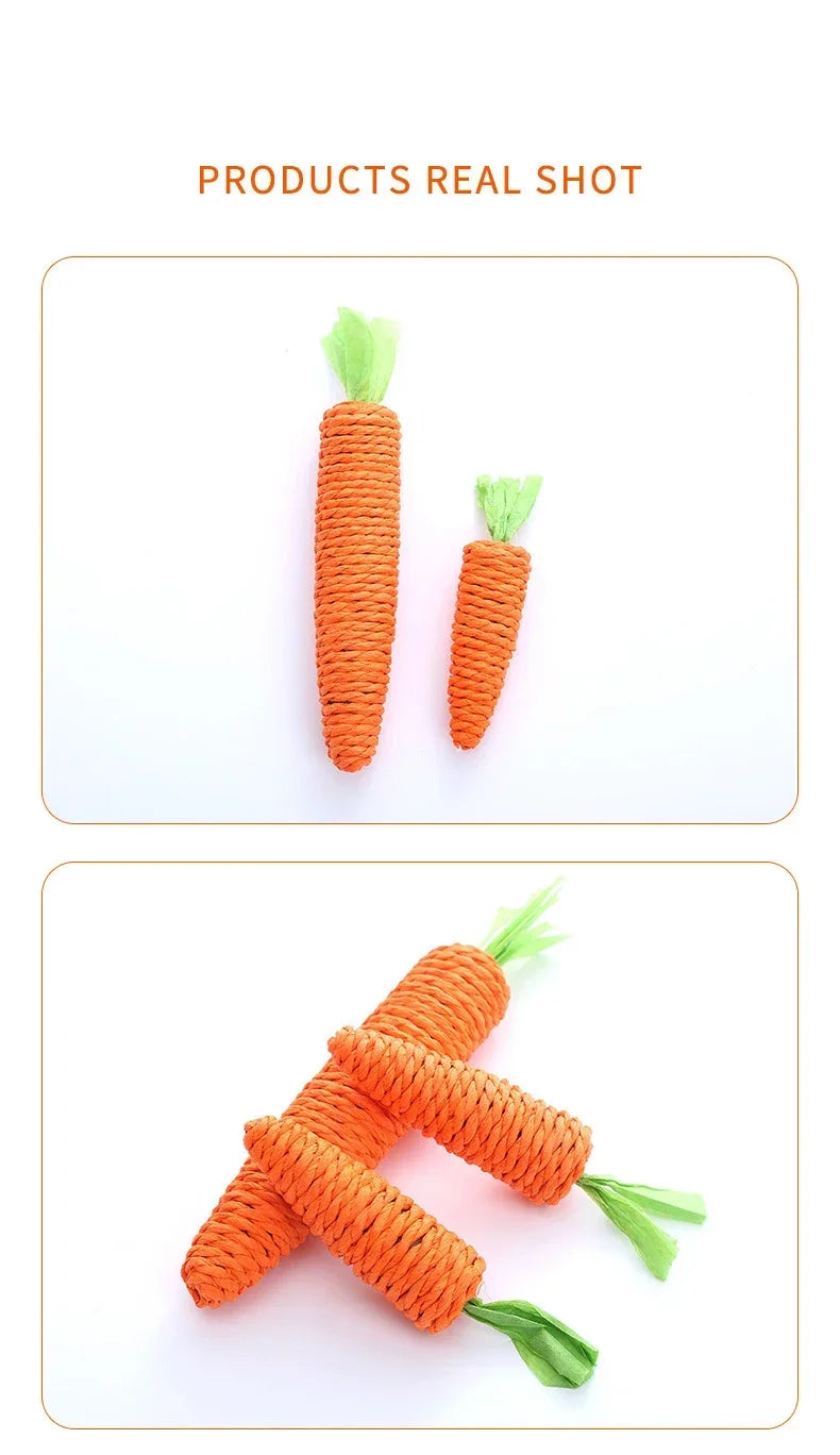 🥕Squeaky Carrot Cat Toy