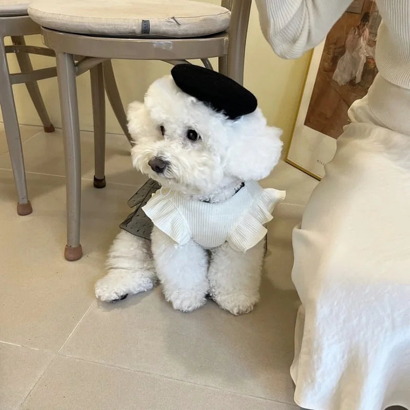 Elegant Black & White Lace Pet Dress🤍🎀🖤