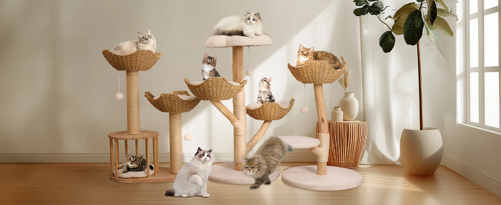 Modern Solid Wood Activity Tower for Indoor Cats